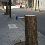 最近、大阪市中の木がぶった切られてる件